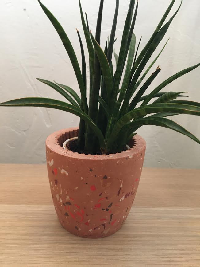 Le Mini Cone Terrazzo Pot
