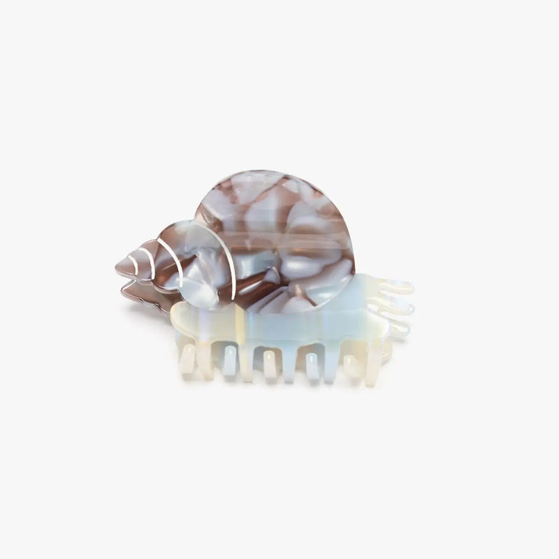 Blue Whelk Sea Snail Shell Women's Acetate Hair Claw Clip