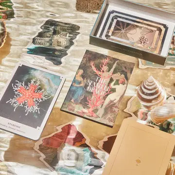 The Seashell Oracle: 44 Card Deck and Guidebook
